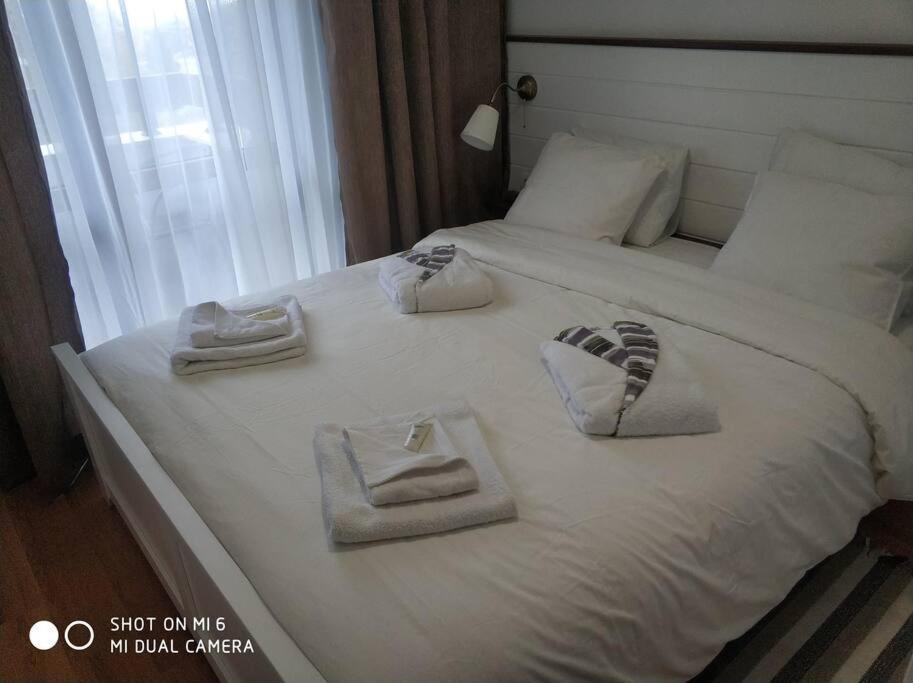 Belvedere Holiday Club 106G 반스코 외부 사진